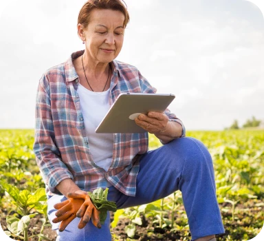 Oilseed farmer using Myvar tool in the field